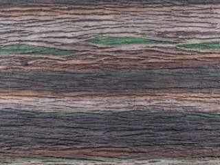 Tree Bark